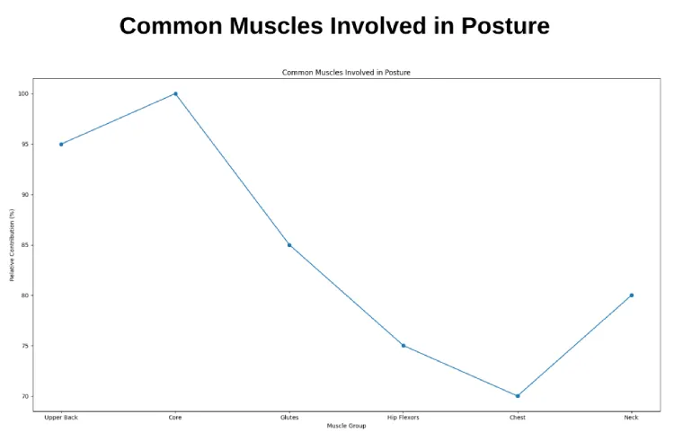 Common Muscles Involved in Posture