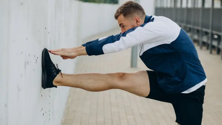 Push Pull Legs Muscle Groups Explained