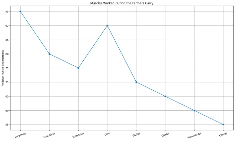 Muscles Worked During the Farmers Carry