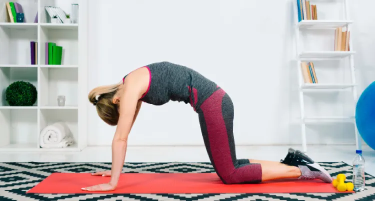 Best Posture Exercises for Office Workers