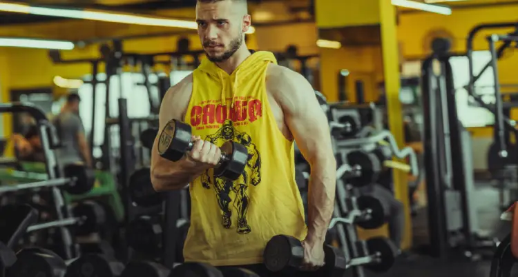 The blood supply to the Biceps Brachii.
