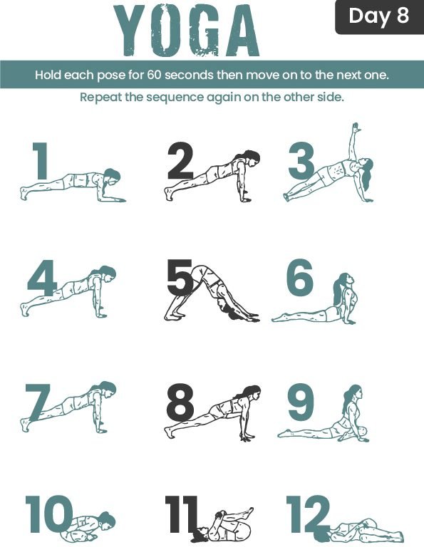 Day 8