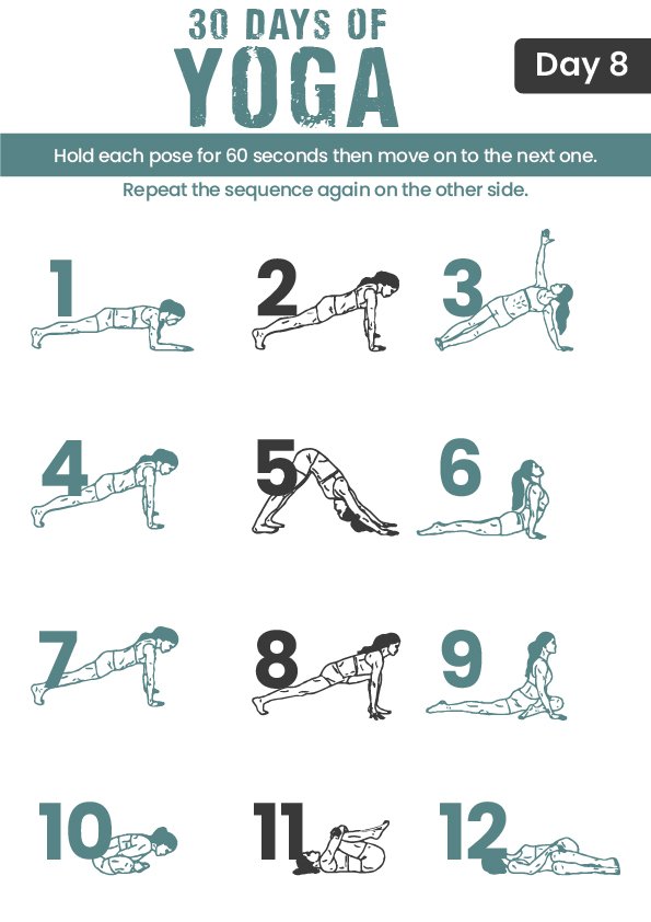 Day 8