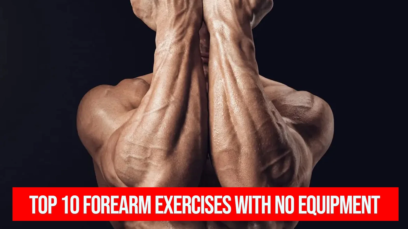 Forearm Exercises with no equipment