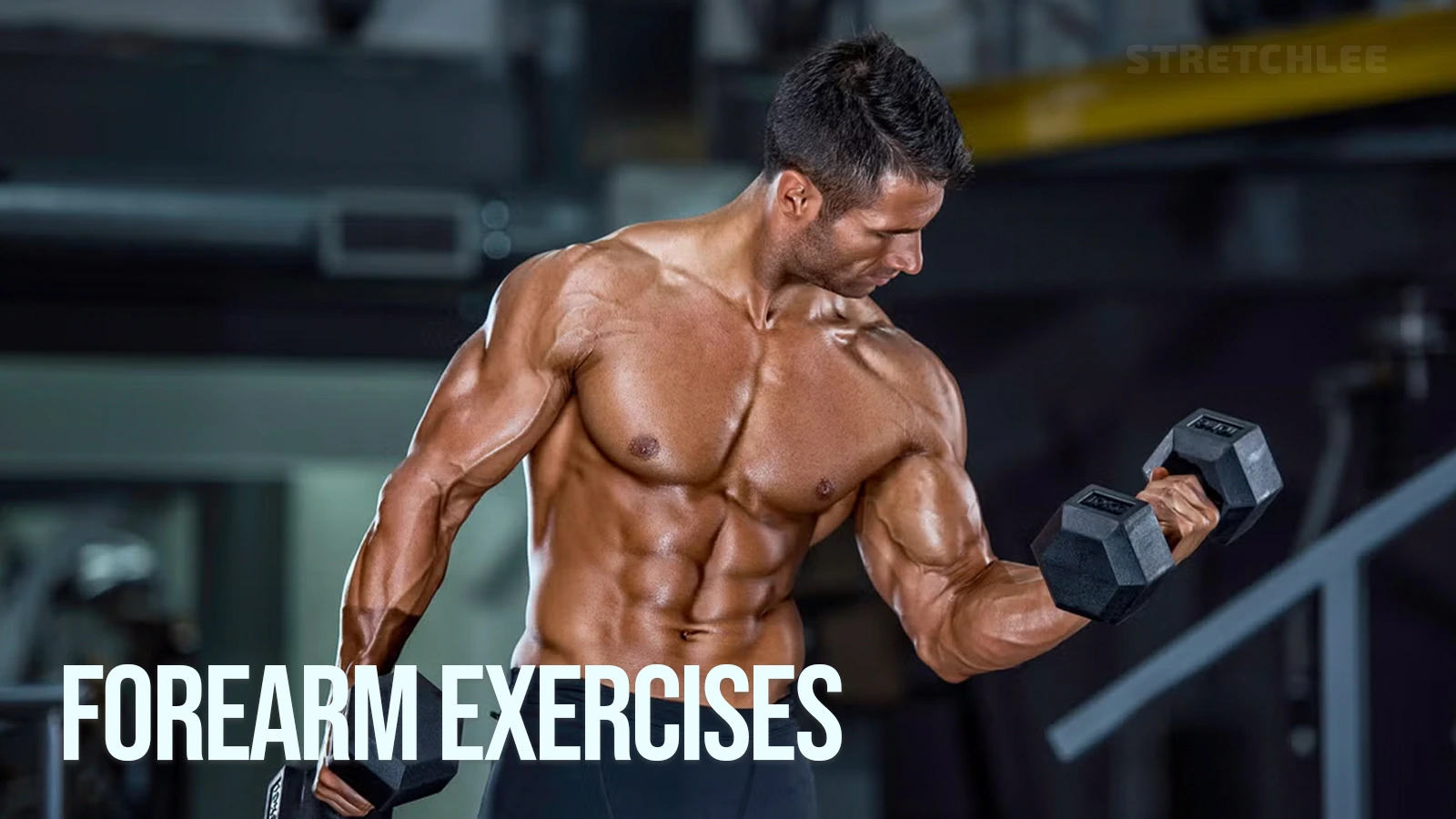 Forearm Exercises