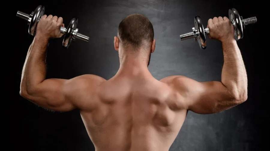 What is Rear Delt Flys?
