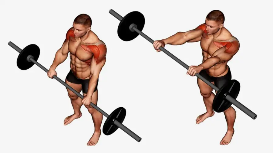 Importance of Front Raises in Shoulder Development