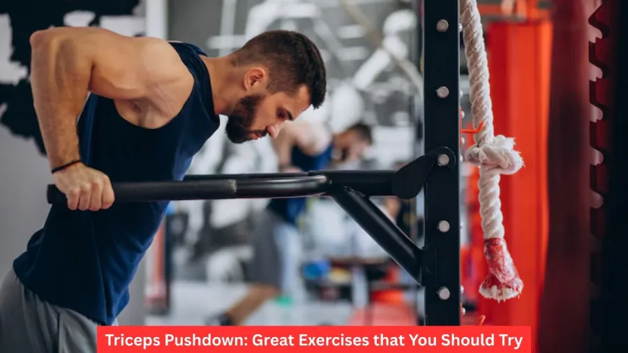 Triceps Pushdown: Great Exercises that You Should Try