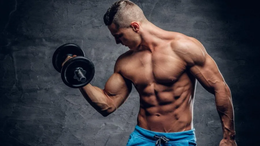 2. Smooth muscles, skeletal muscles and cardiac muscles.