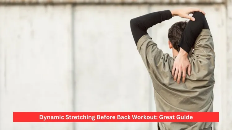 Dynamic Stretching Before Back Workout: Great Guide