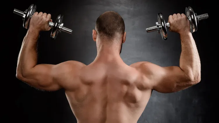 Muscles Worked in a Leg and Shoulder Workout