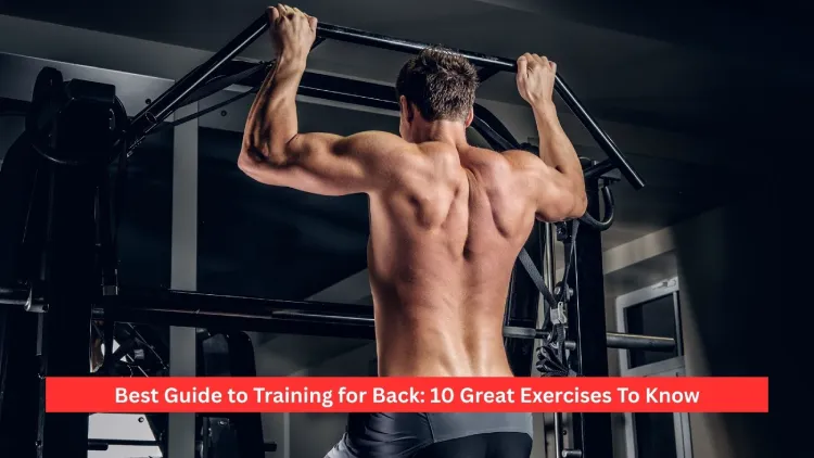 Best Guide to Training for Back: 10 Great Exercises To Know