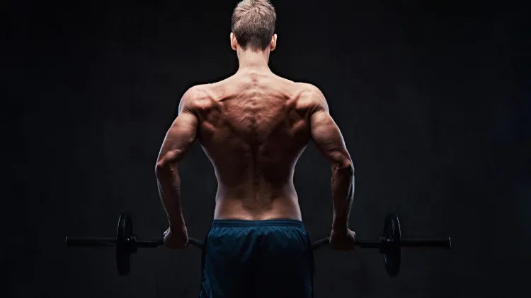 Effective Exercises for Back Training