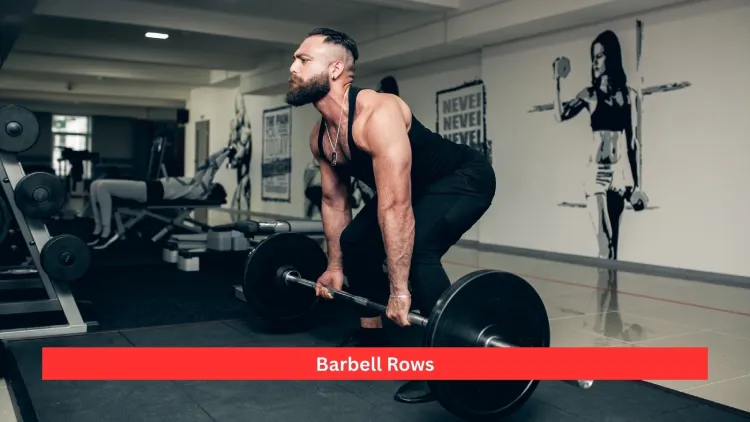 Barbell Rows: Great Benefits, Form, Variations, & Tips