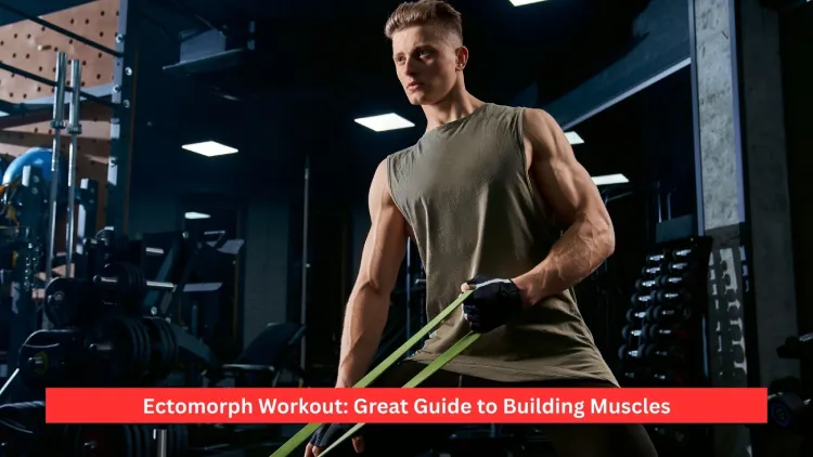 Ectomorph Workout: Great Guide to Building Muscles