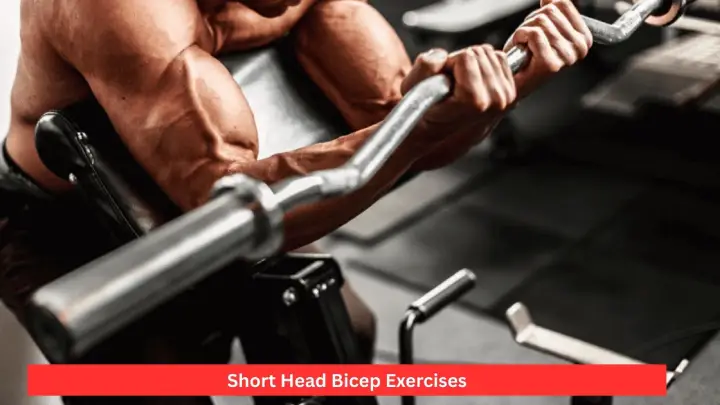 Short Head Bicep Exercises