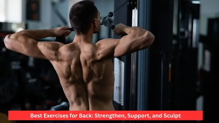 Best Exercises for Back