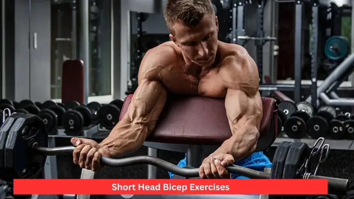 Short Head Bicep Exercises