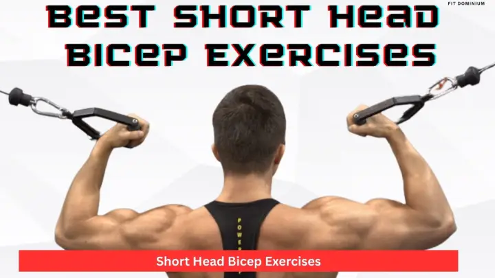 Short Head Bicep Exercises