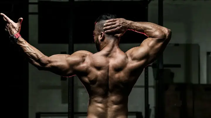 Best Exercises for Back