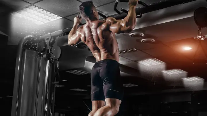 Best Exercises for Back