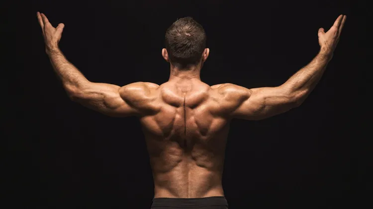 Best Trap Exercises