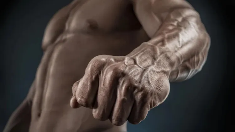 Programming Forearm Workouts