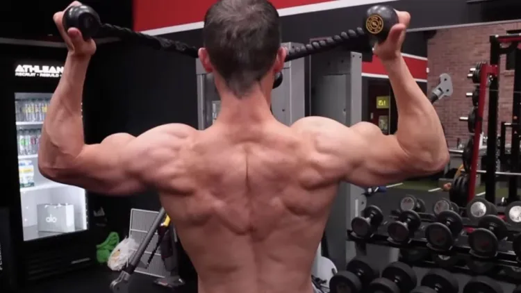 Where Face Pulls Target the Most