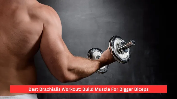 Best Brachialis Workout: Build Muscle For Bigger Biceps