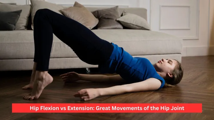Hip Flexion vs Extension: Great Movements of the Hip Joint