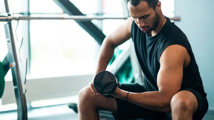 Dumbbell Workouts