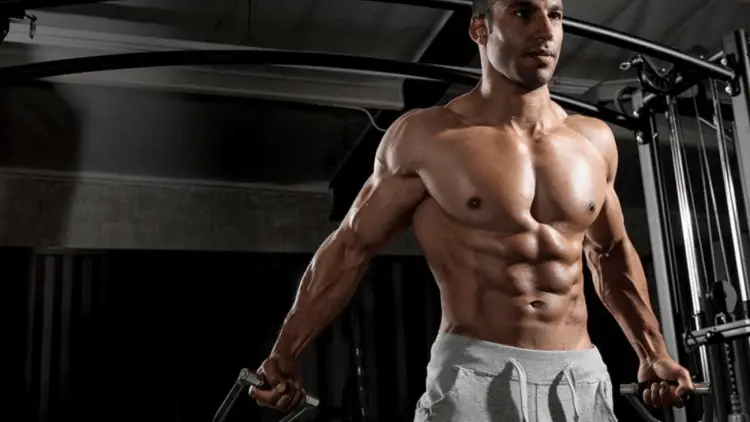How to Hit Lower Chest