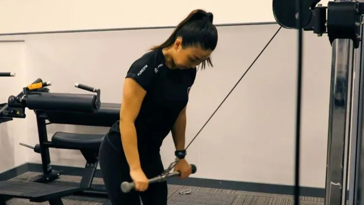 Muscles to be used during the Tricep Pushdown