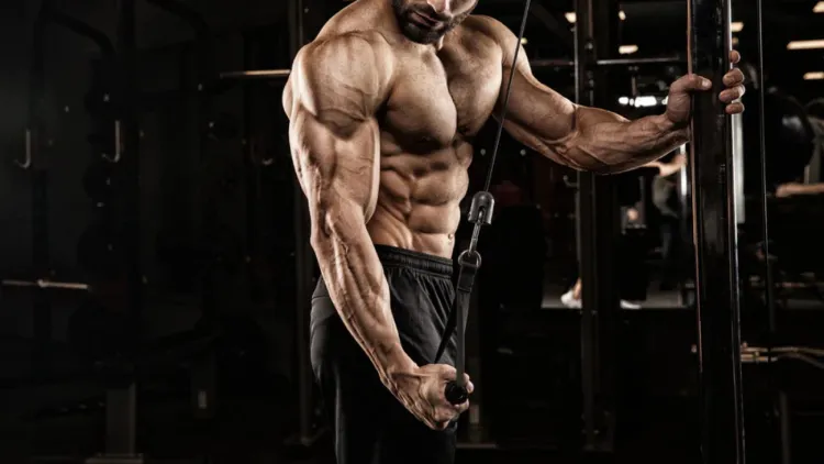 Advantages of Tricep Pushdown