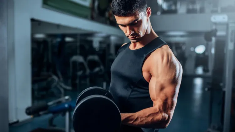 Best Arm Exercises for Strength and Definition