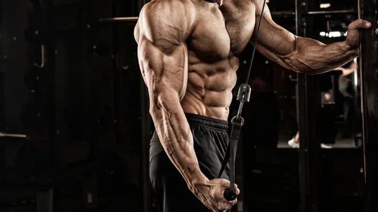 Tips for Effective Arm Workouts