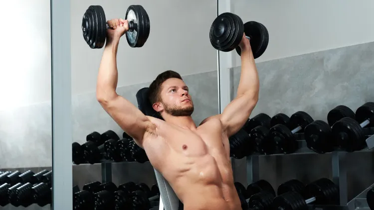 Muscles Engaged in the Shoulder Press