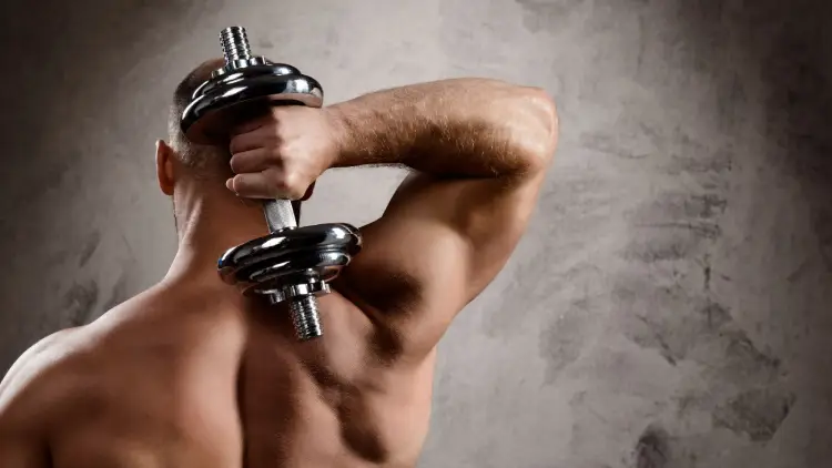 Workouts With the Triceps: Are Tricep Kickbacks Effective