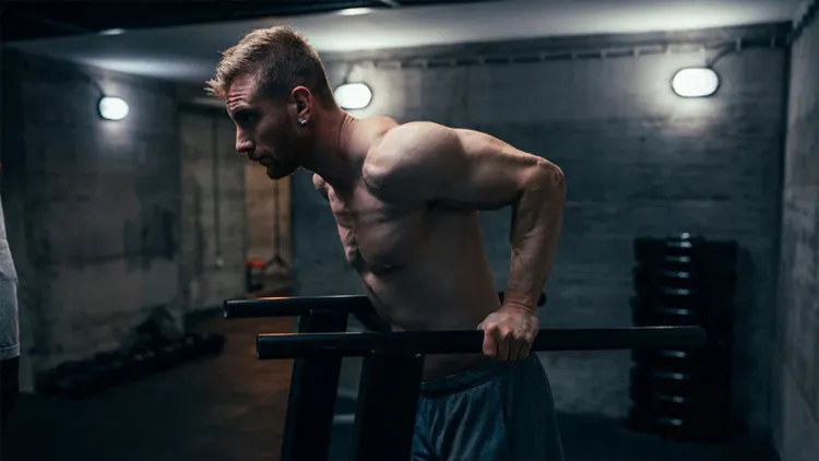 Variations of Dips Workout