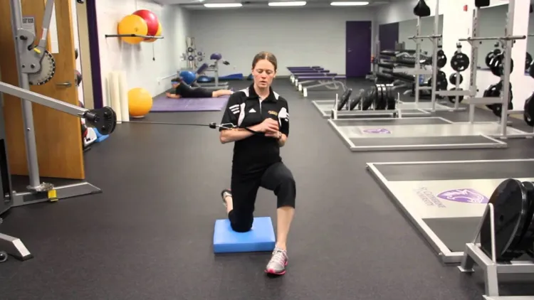 Pallof Press Variations