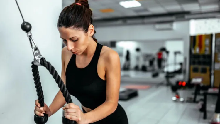 Triceps and Arm Fat: The Truth