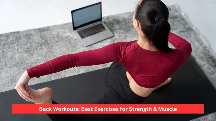Back Workouts: Best Exercises for Strength & Muscle