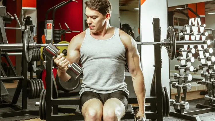 How Quickly Do Biceps Grow?