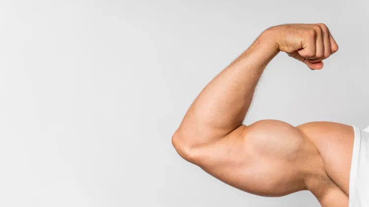 Best Exercises for Forearm Muscles
