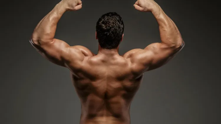 How to maximise muscle exercises through the arms