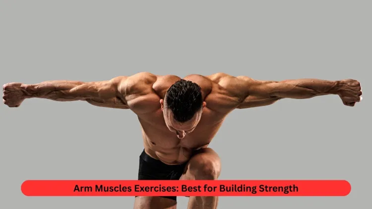 Arm Muscles Exercises: Best for Building Strength