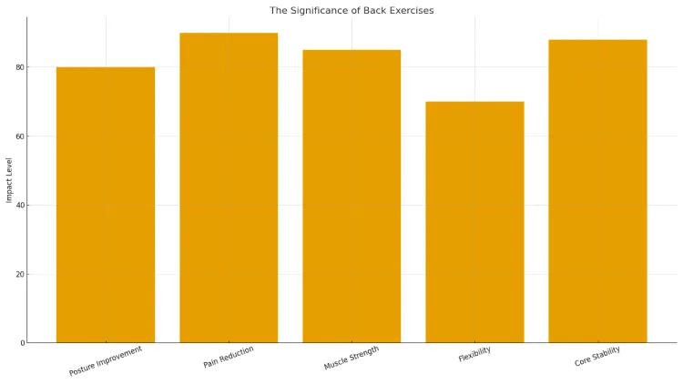 The significance of Back Exercises