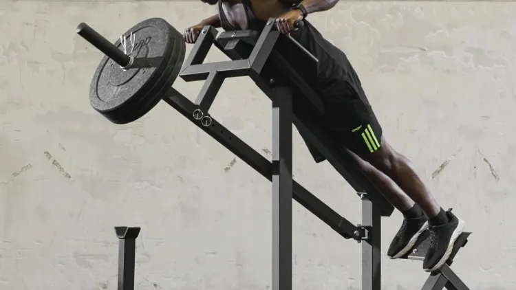How to Program T Bar Rows in Your Workout.