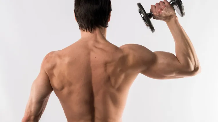 Best Upper Back Exercises