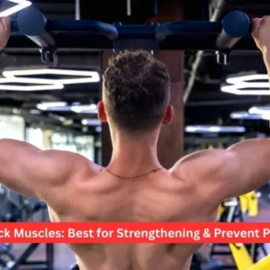Back Muscles: Best for Strengthening & Prevent Pain
